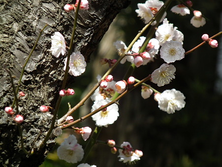 DSCF0072