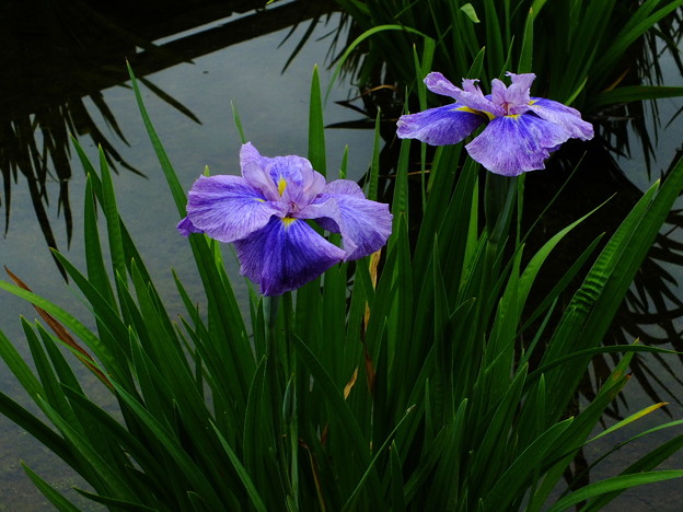 DSCF0299