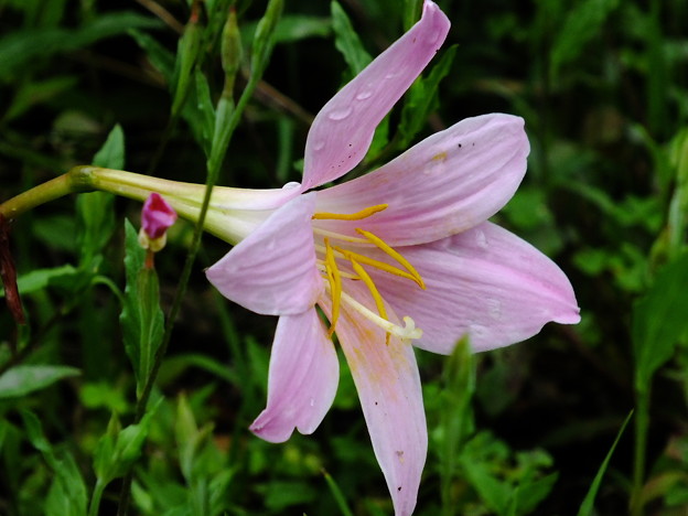 DSCF0314