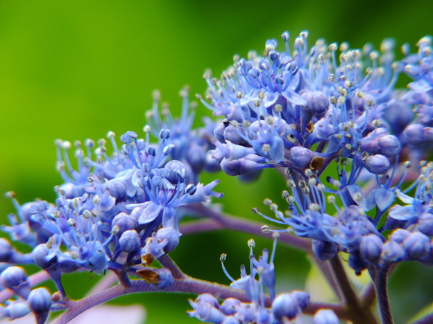 DSCF0375