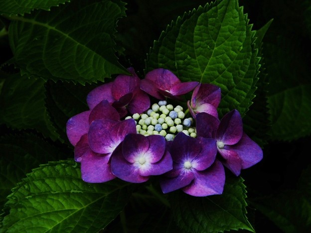 DSCF0357