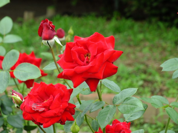DSCF0367