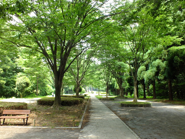 DSCF0025