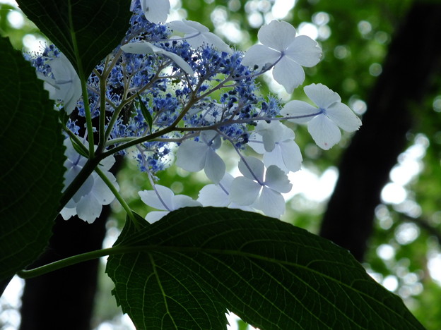 DSCF0259