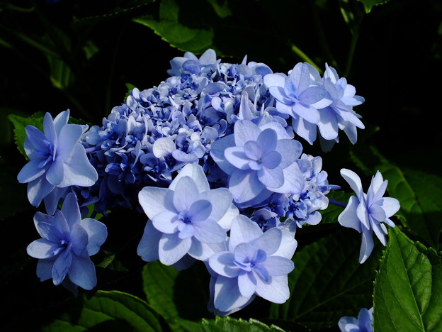 DSCF0279