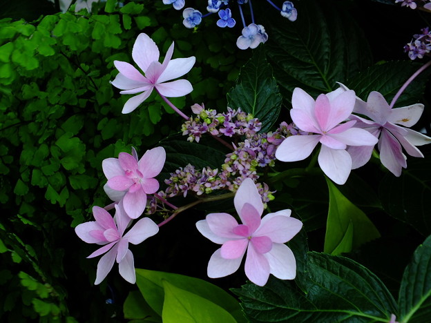 DSCF0301
