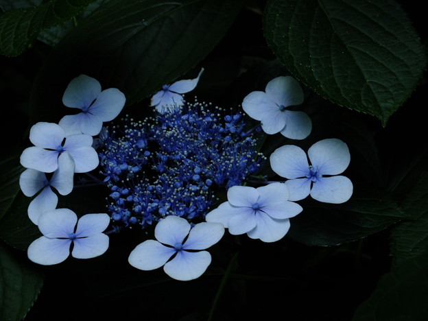 DSCF0094