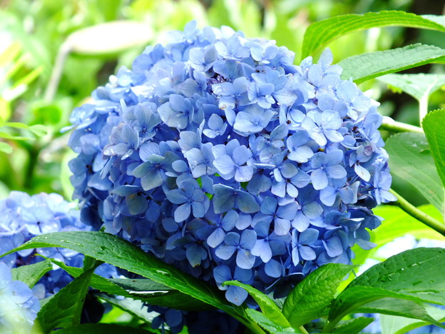 DSCF0109