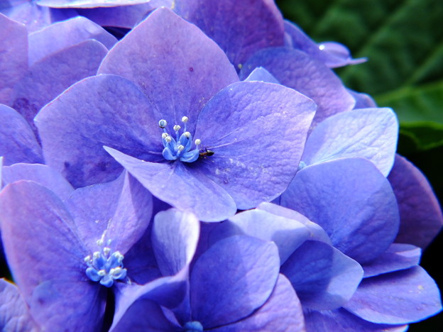 DSCF0130