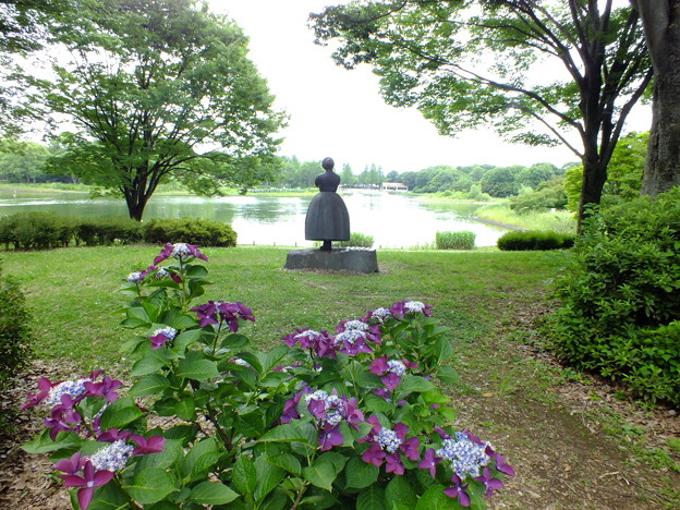 DSCF0246