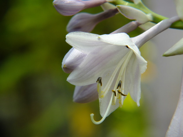 DSCF0383