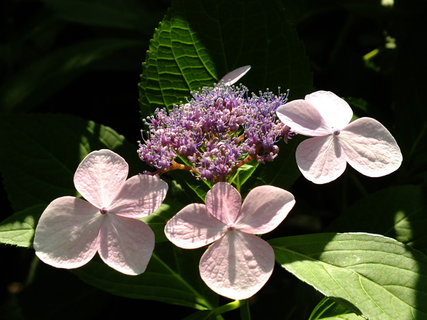 DSCF0400