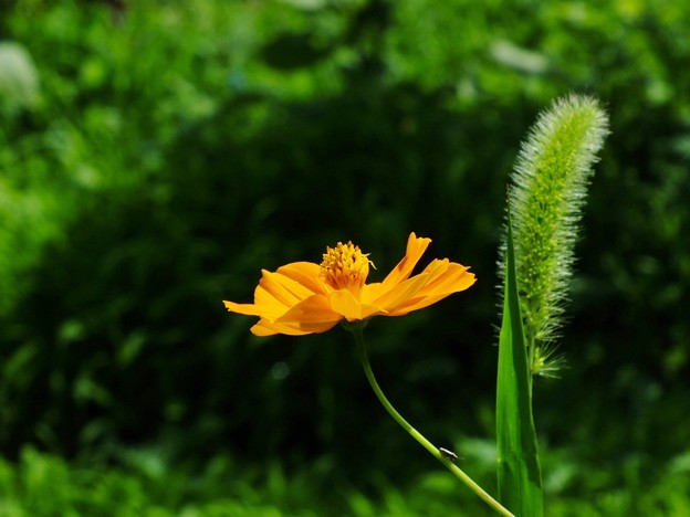 DSCF0076