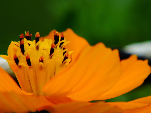 DSCF0134