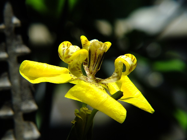 DSCF0057