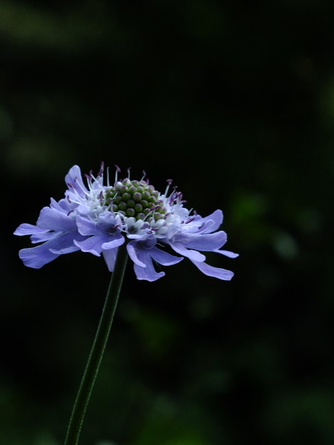 DSCF0341