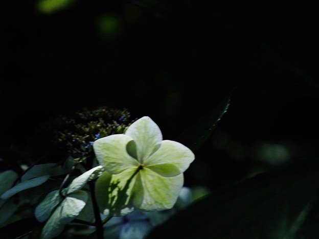 DSCF0066