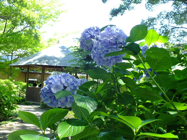 DSCF0077