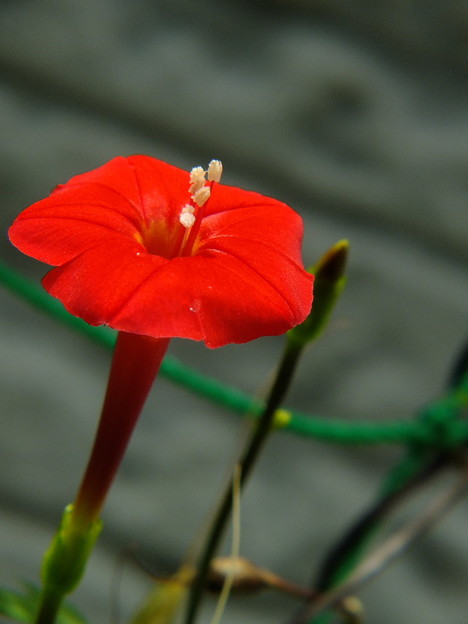 DSCF0038
