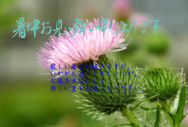暑中3