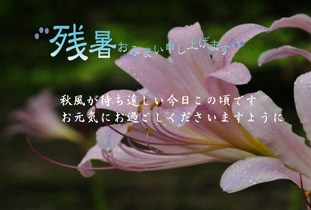 残暑33