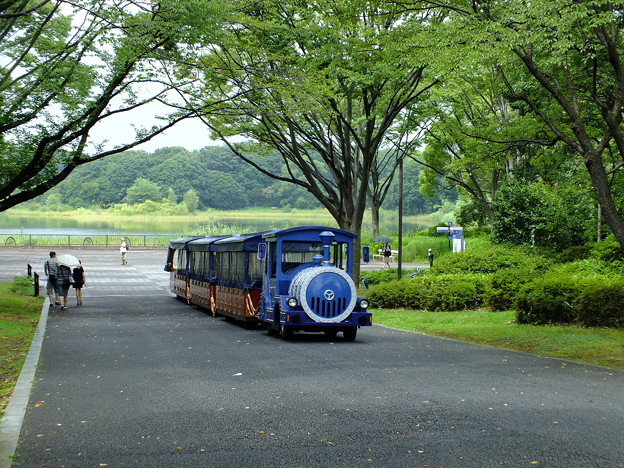 DSCF0067