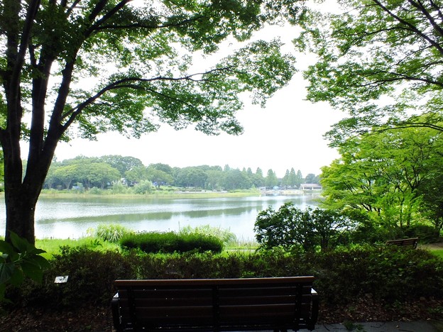 DSCF0092
