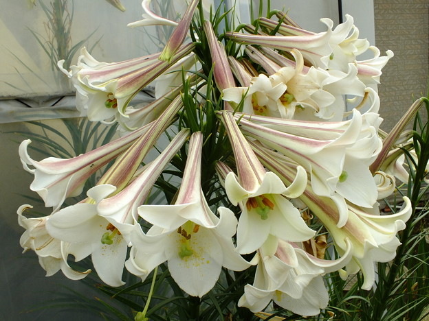 DSCF0157