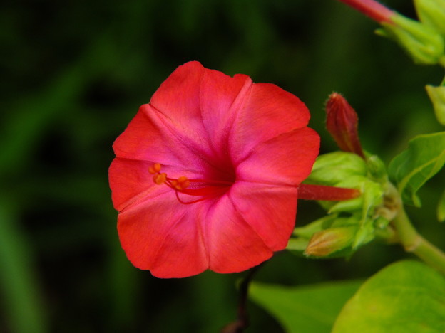DSCF0188
