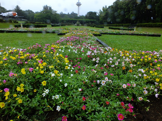 DSCF0118