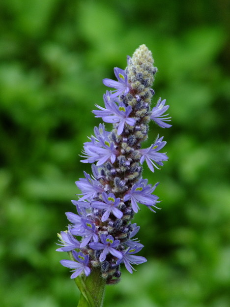 DSCF0167