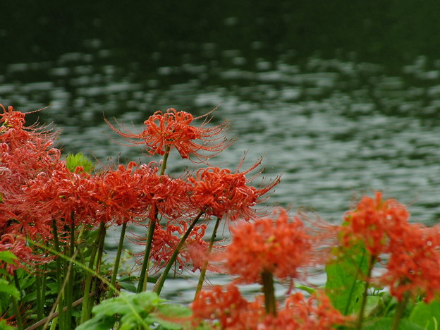 DSCF0323