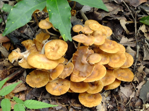 DSCF0073