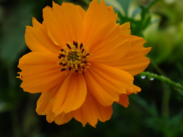 DSCF0057