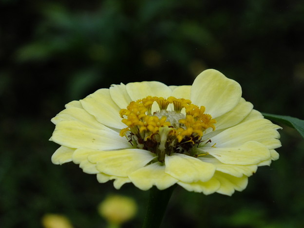 DSCF0181