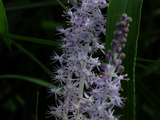 DSCF0157