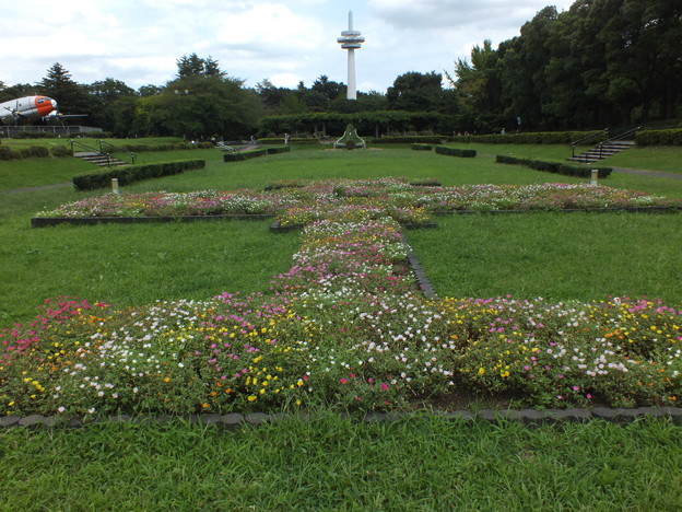 DSCF0275