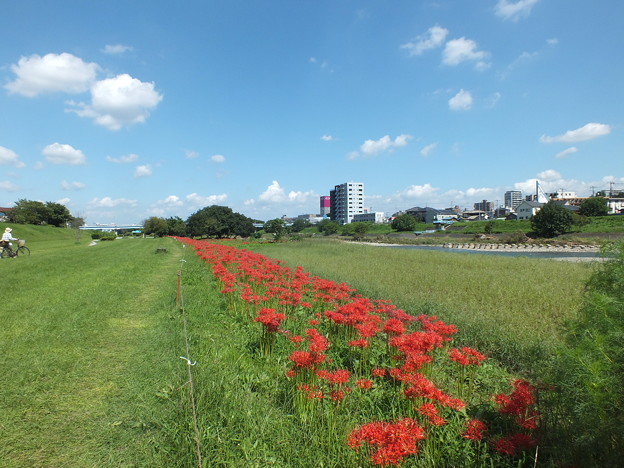 DSCF0470