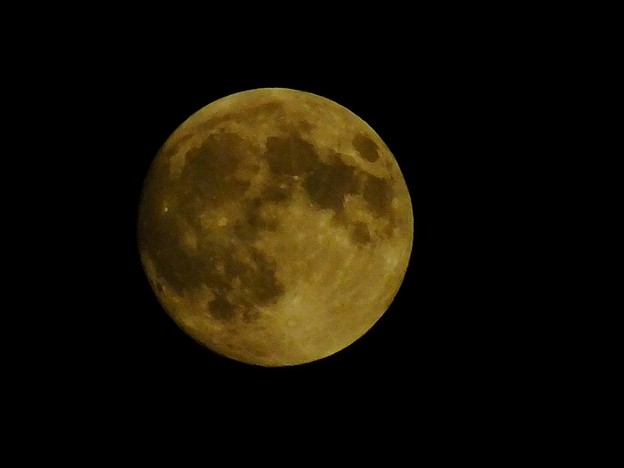 DSCF0038