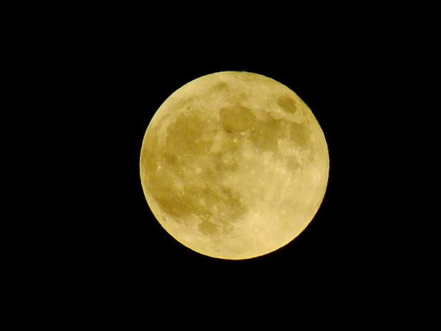 DSCF0004