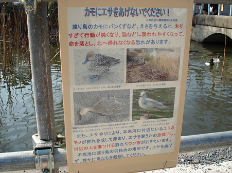 カモにエサをあげないでください！