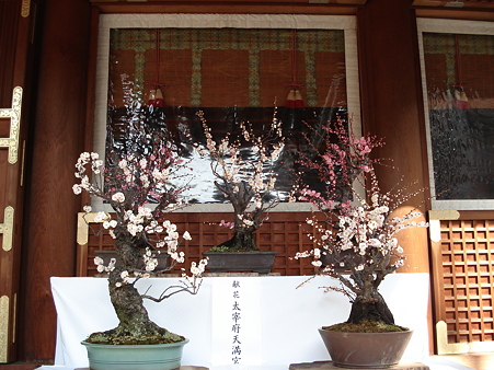 湯島天神 献花