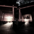 Photos: Phantom of  torii corridor