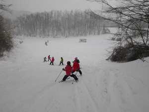 IMGP0255_R