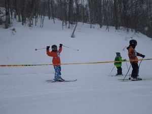 IMGP2532_R