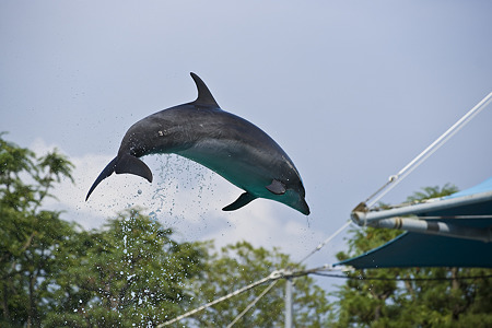 notojima100826298