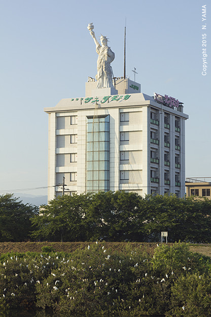 コサギの居る風景