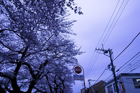 2011-04-08の空
