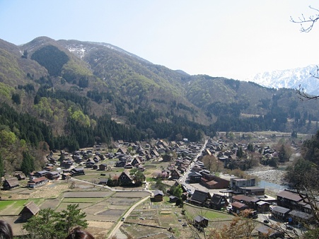 圧縮-IMG_3618