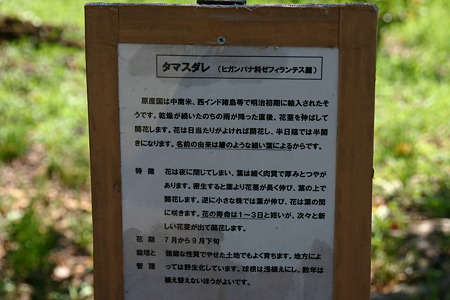 説明板…